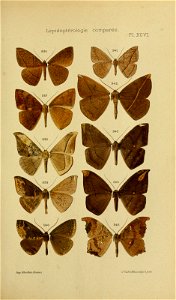 n168_w1150