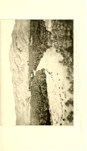 n262_w1150