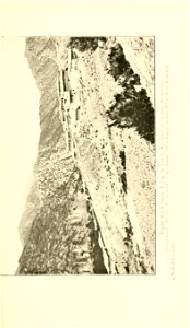 n202_w1150