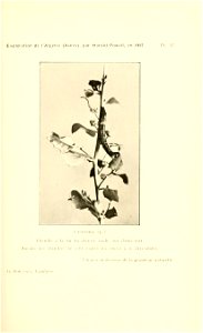 n82_w1150
