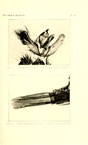 n52_w1150