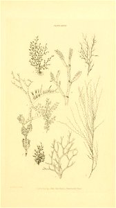 n294_w1150