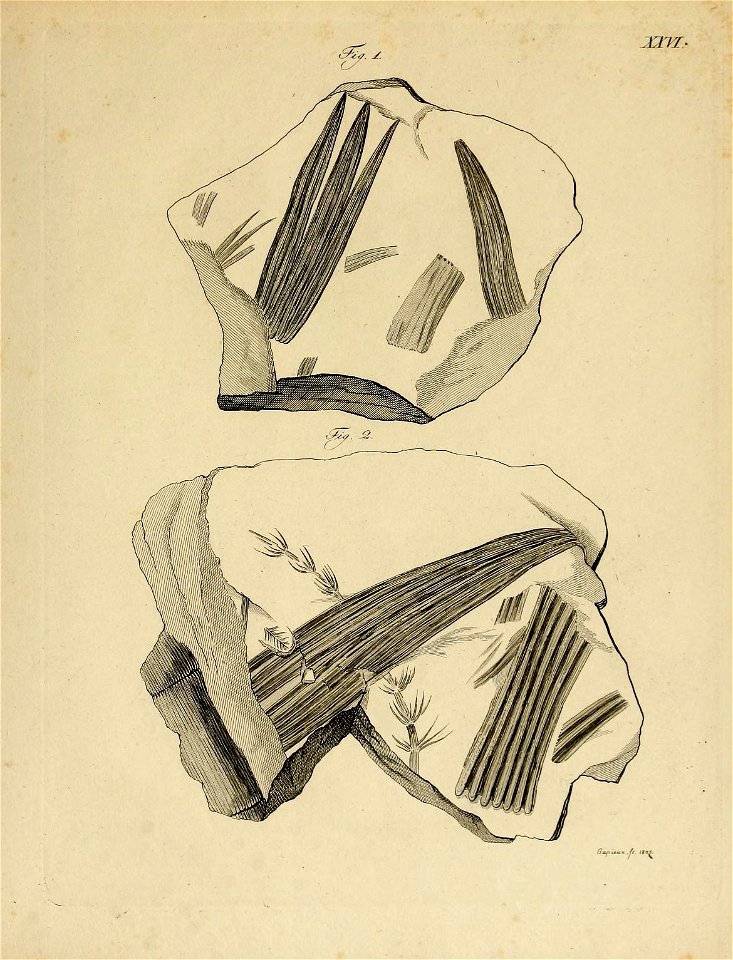 n56_w1150