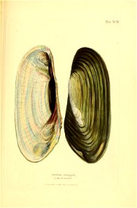 n318_w1150