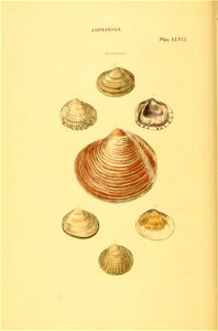 n173_w1150