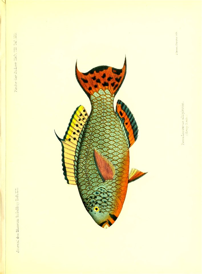 n186_w1150