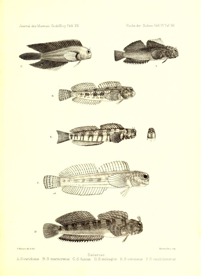 n164_w1150