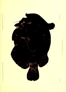 n134_w1150