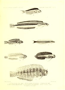 n162_w1150