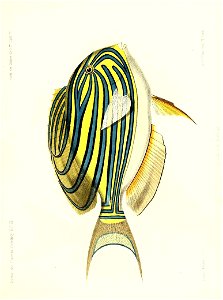 n284_w1150