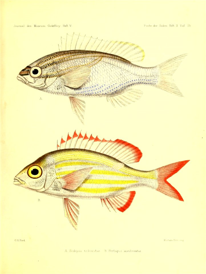 n192_w1150