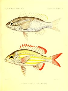 n192_w1150