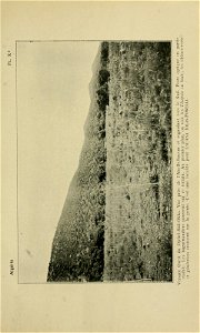 n244_w1150