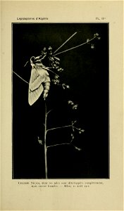 n184_w1150