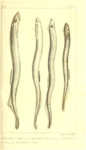 n164_w1150