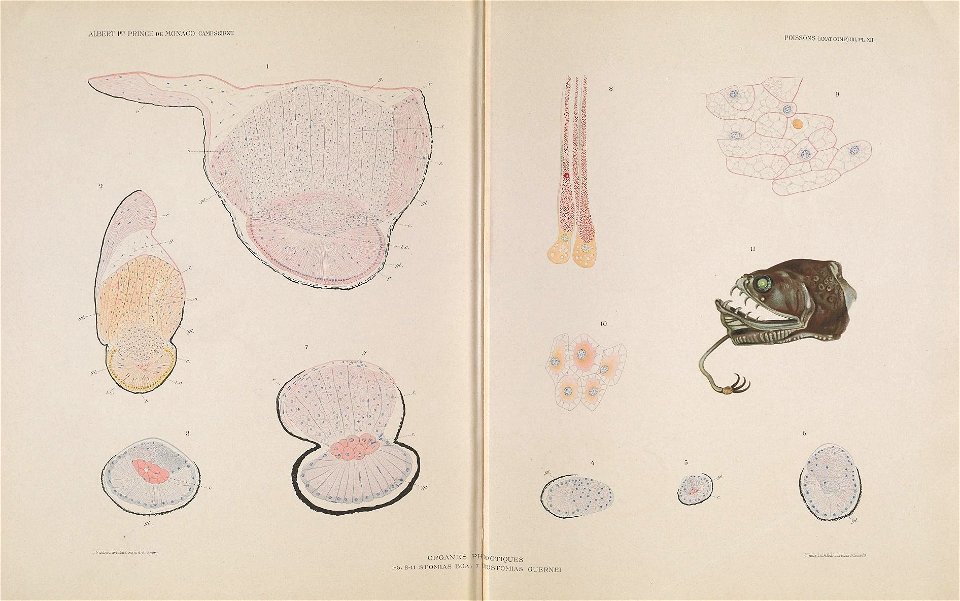 n182_w1150