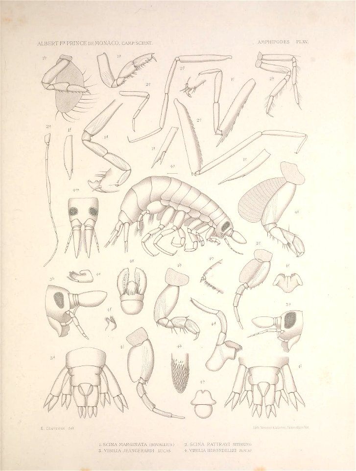 n266_w1150