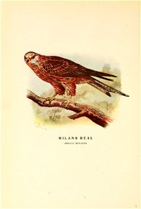 n85_w1150