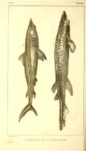 n403_w1150