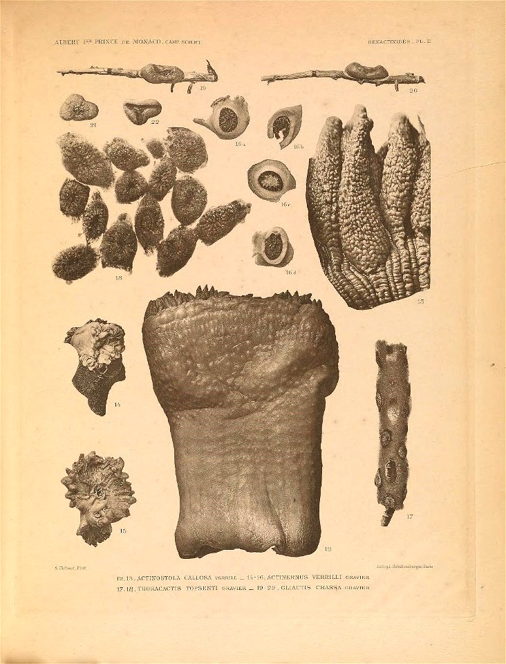 n122_w1150