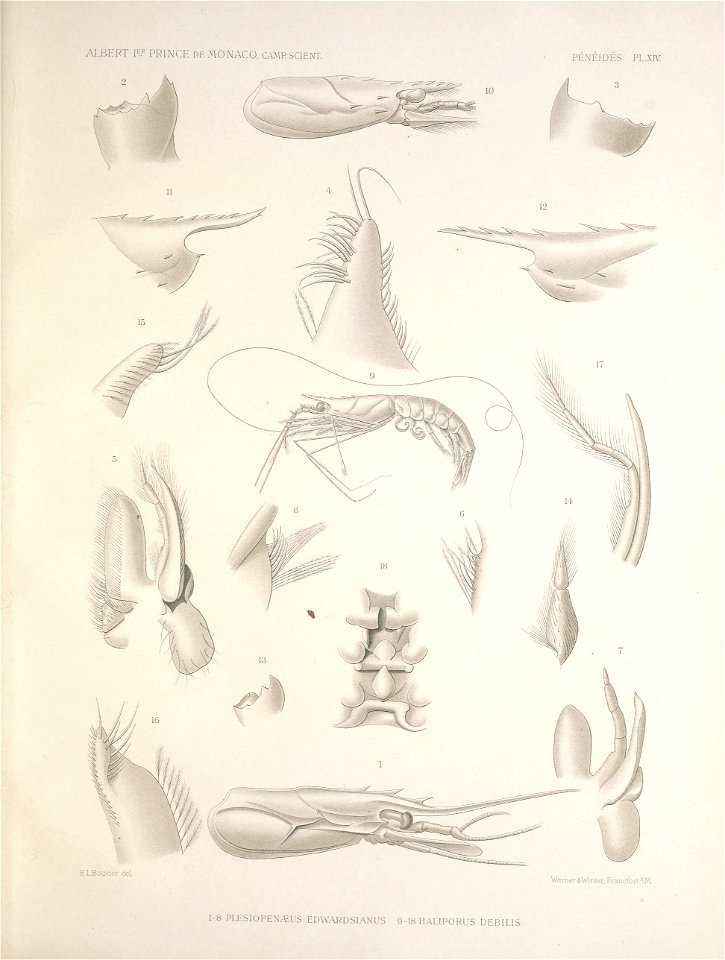 n190_w1150