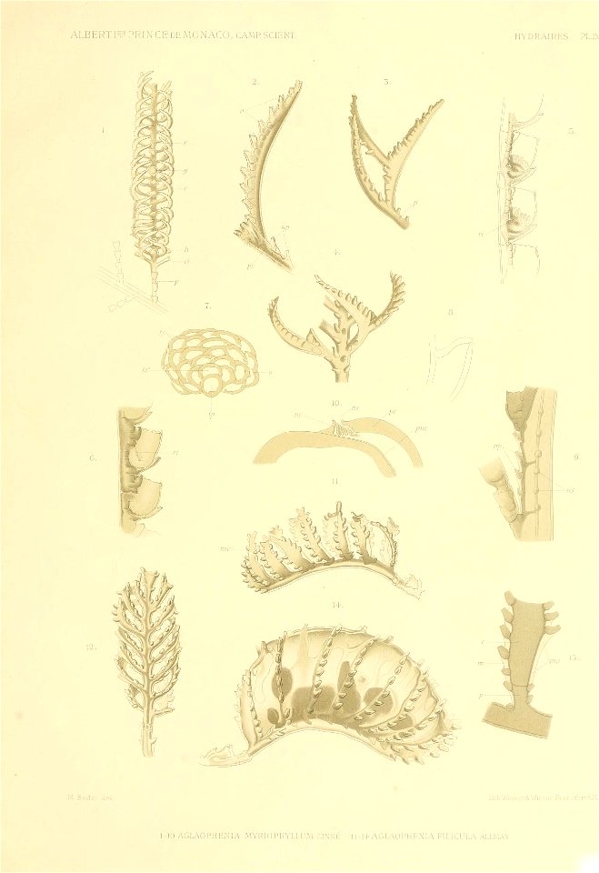 n104_w1150