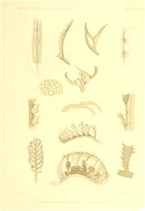 n104_w1150