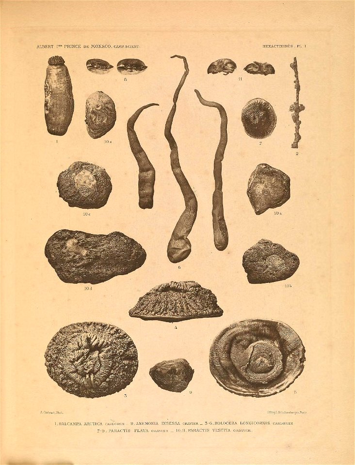 n118_w1150