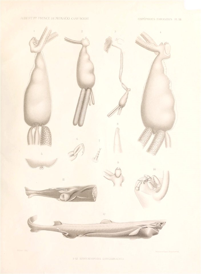 n128_w1150