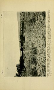 n256_w1150