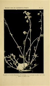 n196_w1150