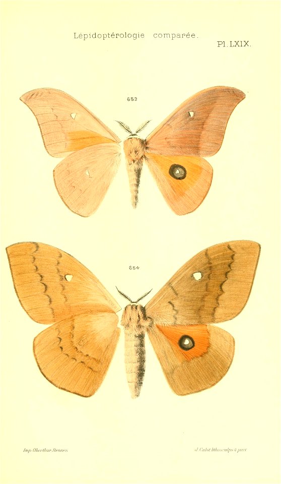n418_w1150