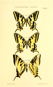 n598_w1150