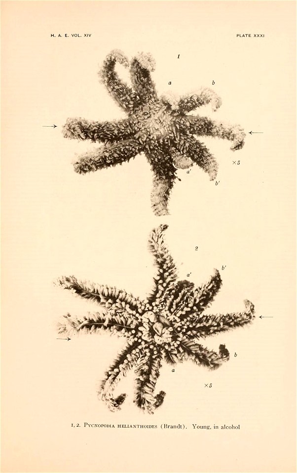 n128_w1150