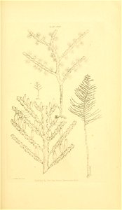 n82_w1150