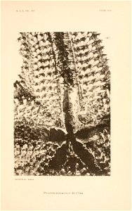 n184_w1150