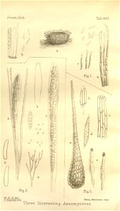 n194_w1150