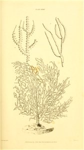 n138_w1150