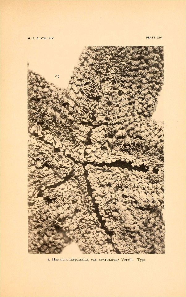 n60_w1150