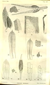 n359_w1150