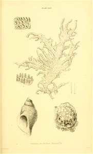 n282_w1150