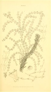 n218_w1150