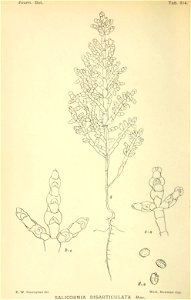 n197_w1150