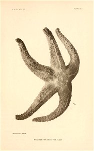 n172_w1150