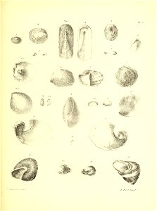 n84_w1150