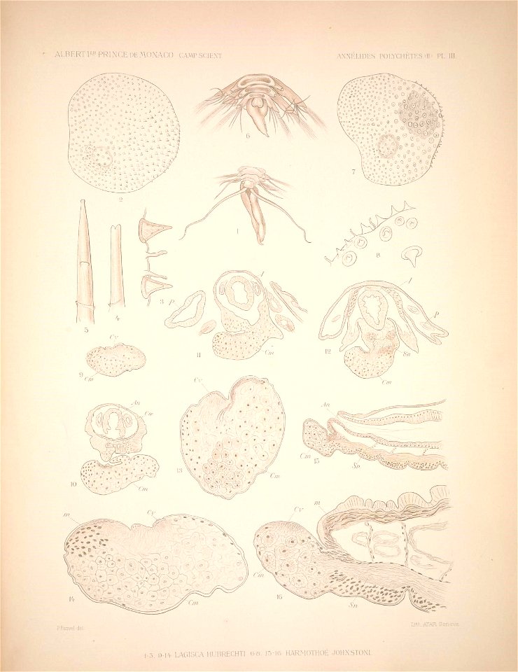 n174_w1150
