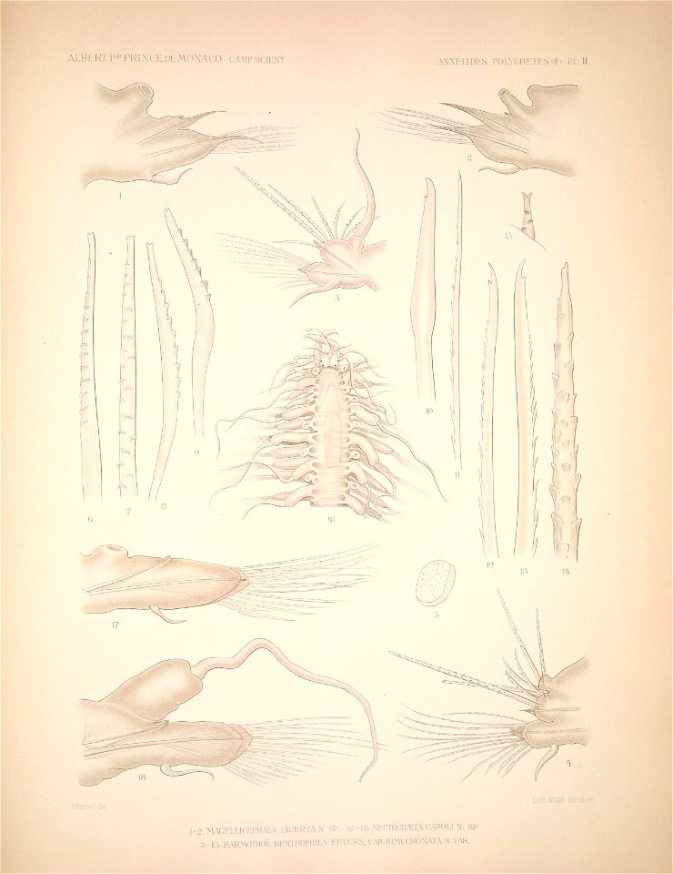 n170_w1150