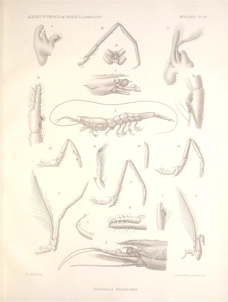 n194_w1150