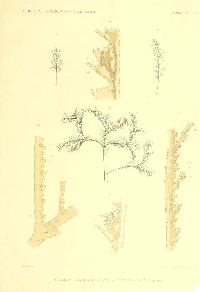 n108_w1150