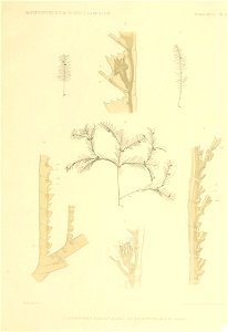 n108_w1150